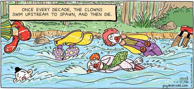 brevity